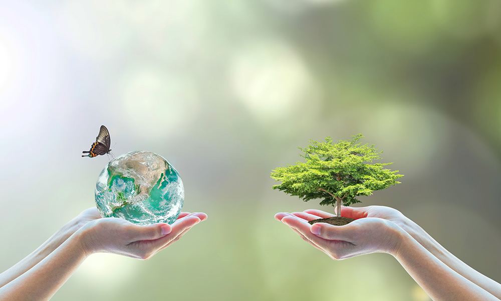 Jeweils seitliche Ansicht von zwei Händen: Links mit einem Schmetterling auf einem Globus, rechts mit einem grünen Blätterbaum