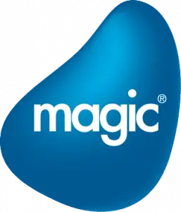 Logo Magic Software