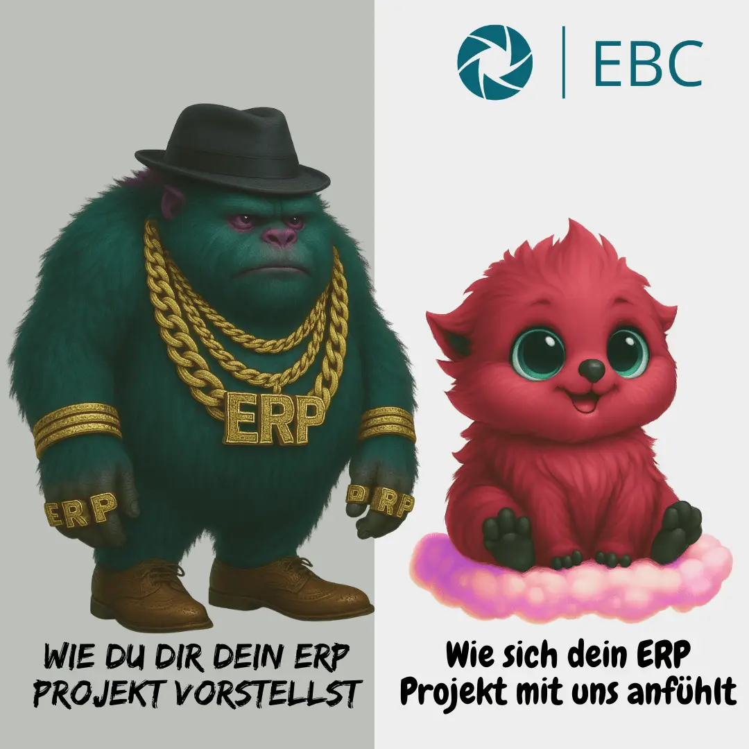Darstellung unserer ERP Monster
