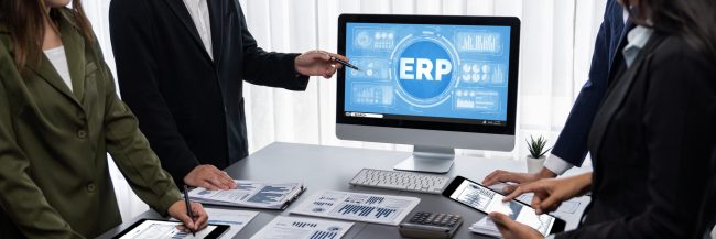 ERP enterprise resource planning software for brisk business ERP-Software (Enterprise Resource Planning) für dynamische Unternehmen zur Planung der Marketingstrategie